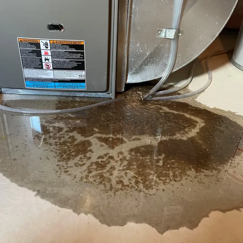 Appliance Leak Cleanup in Royal Palm Estates, FL